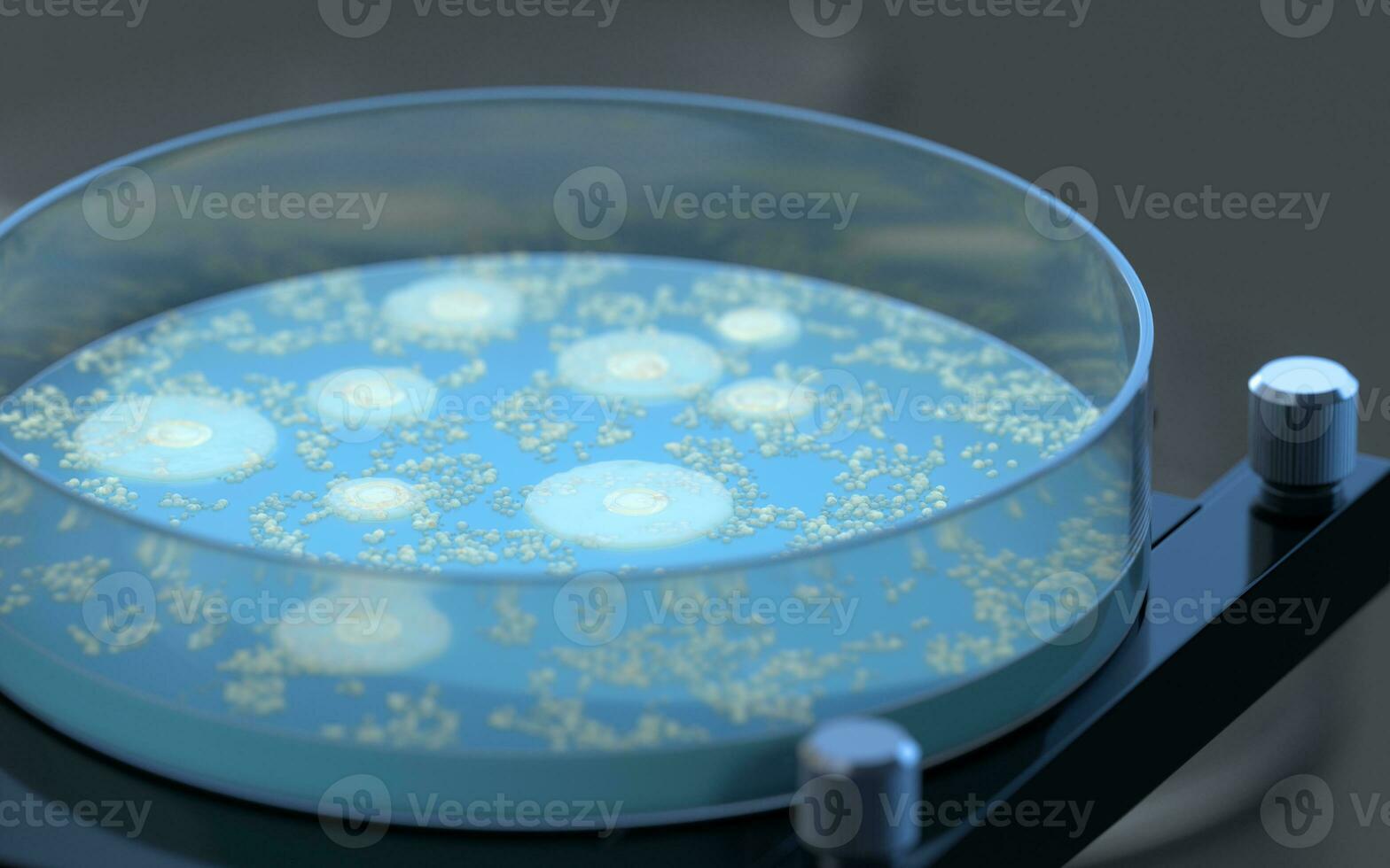 The germs in the petri dish, 3d rendering. photo