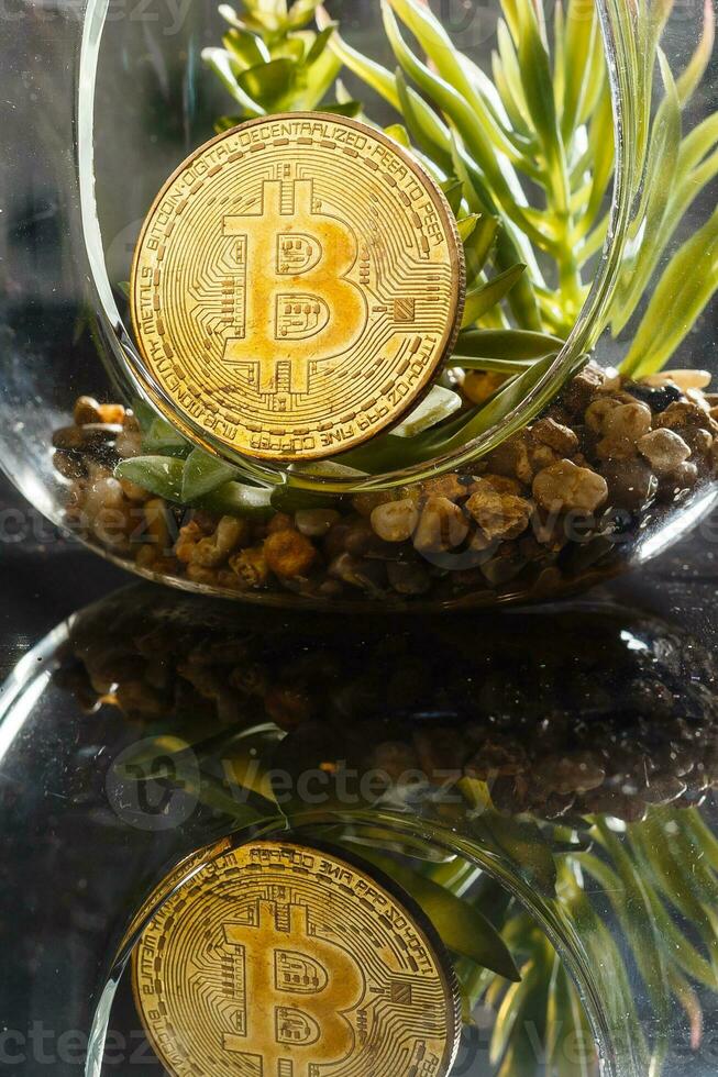 Bitcoin Mining Crypto currency Mining Concept at Home Farms photo