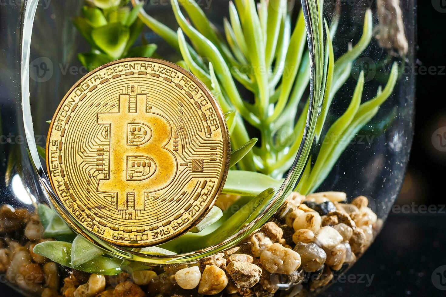 Physical cryptocurrency golden bitcoin coin and flowers. Copy space for text. Selective focus. photo