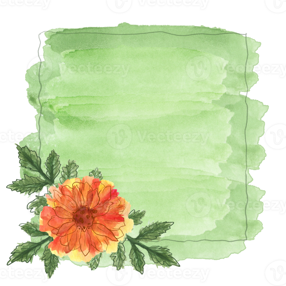 Watercolor green background with copy space with a frame of hand painted orange marigold flower with stems with leaves. Flower art desing for postcards, banner posts, invitations or greeting cards png