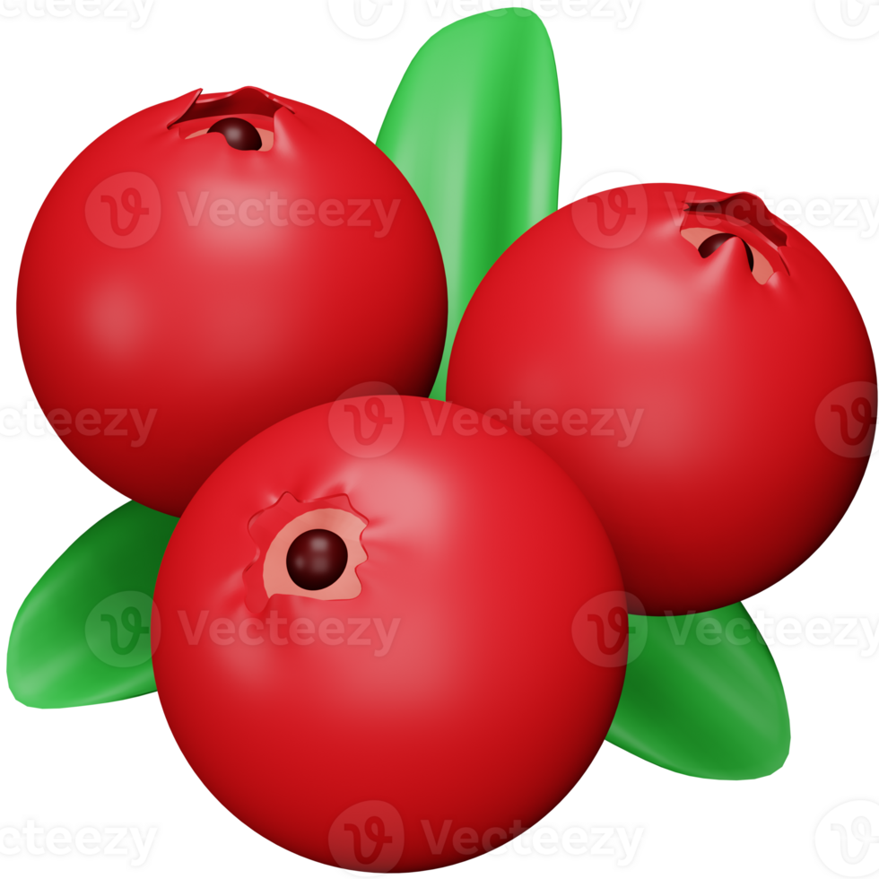 Cranberry 3d rendering isometric icon. png