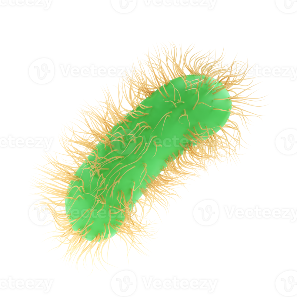 3d hacer ilustración escherichia coli de patógeno bacteria bacterias medicamento, salmonela tifosa con flagelos microscópico ver en líquido. médico virus, científico concepto con microbio y germen png