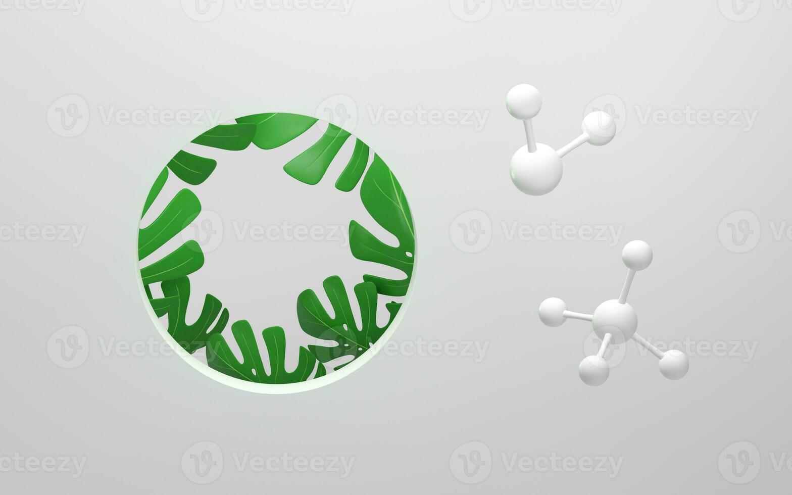 Monstera leaves and white empty room, 3d rendering. photo