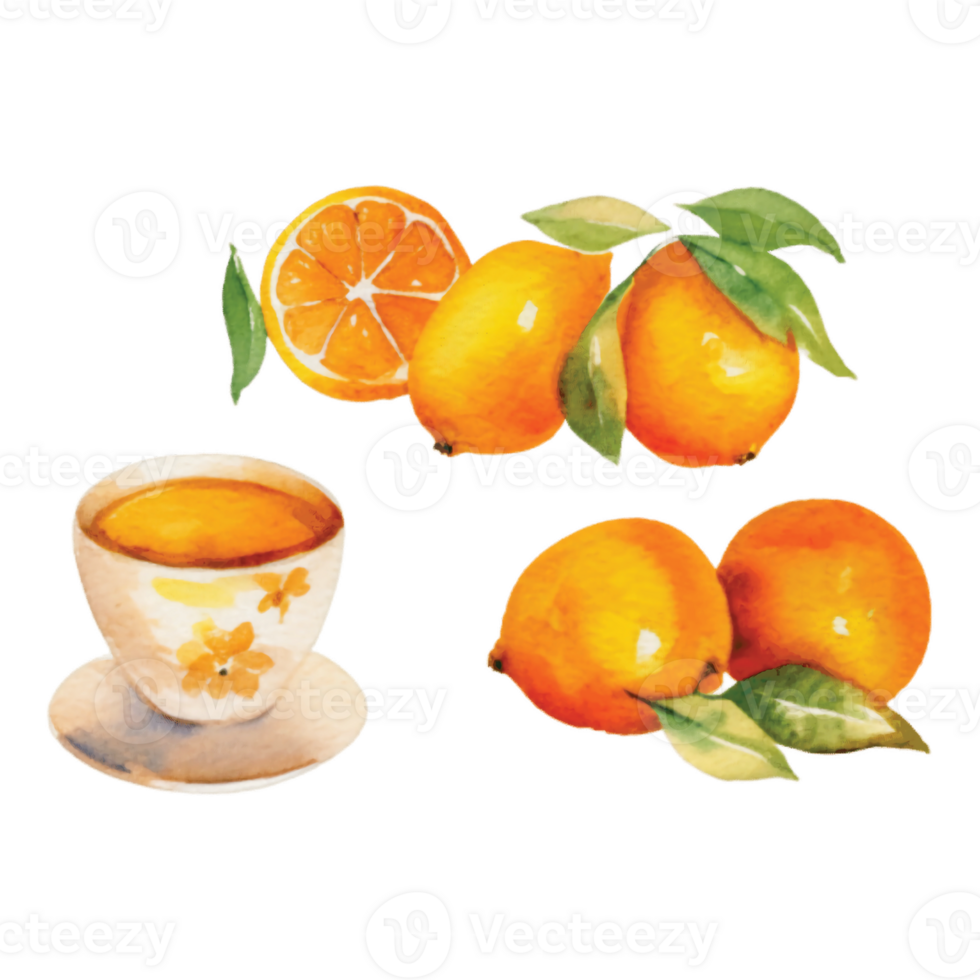 isoliert Orange Obst Saft trinken und Orange Kuchen auf transparent png Hintergrund ai generativ