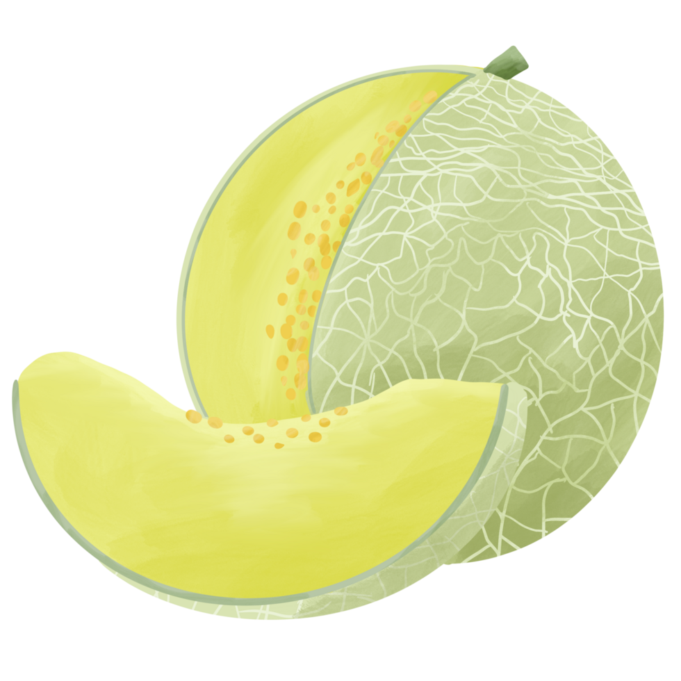 melon watercolor illustration png