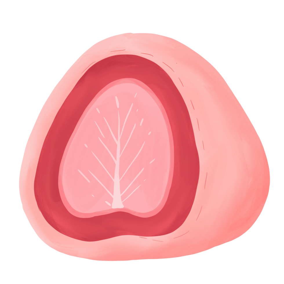 mochi strawberry dessert png