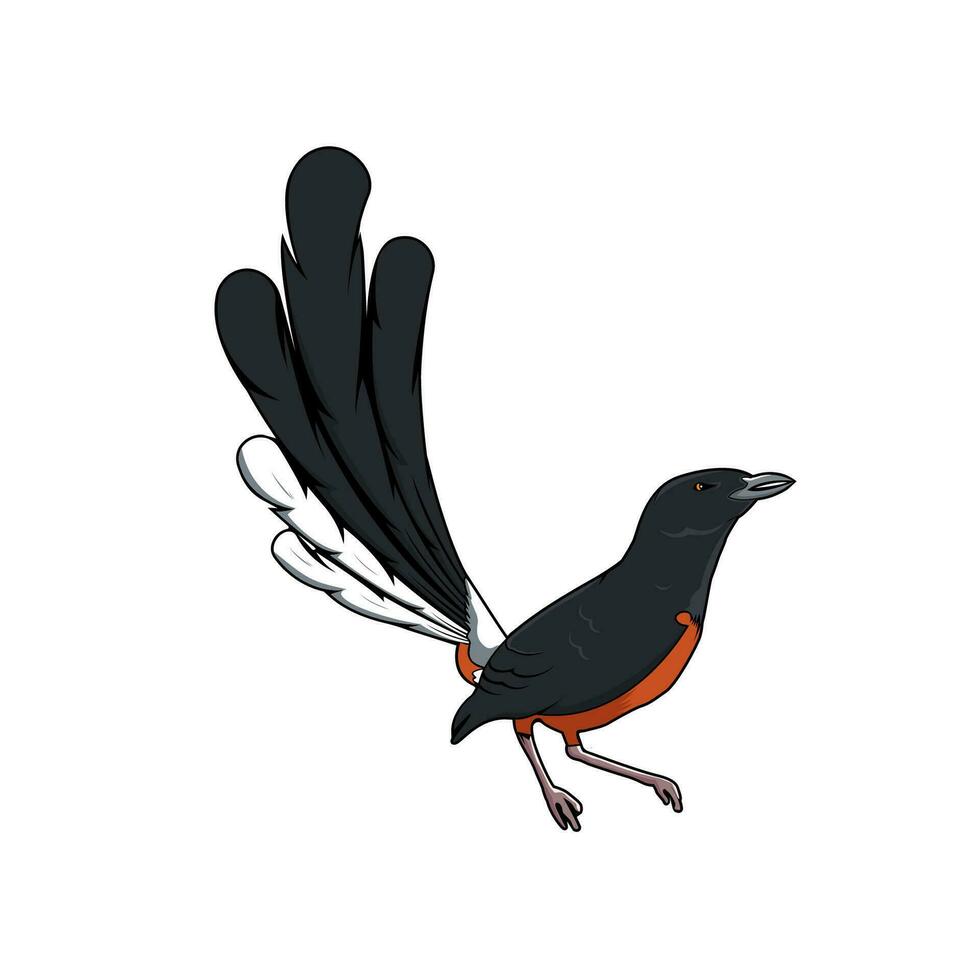 vector de diseño de pájaro urraca oriental robin sobre fondo blanco. ilustración vectorial en capas fácil de editar.