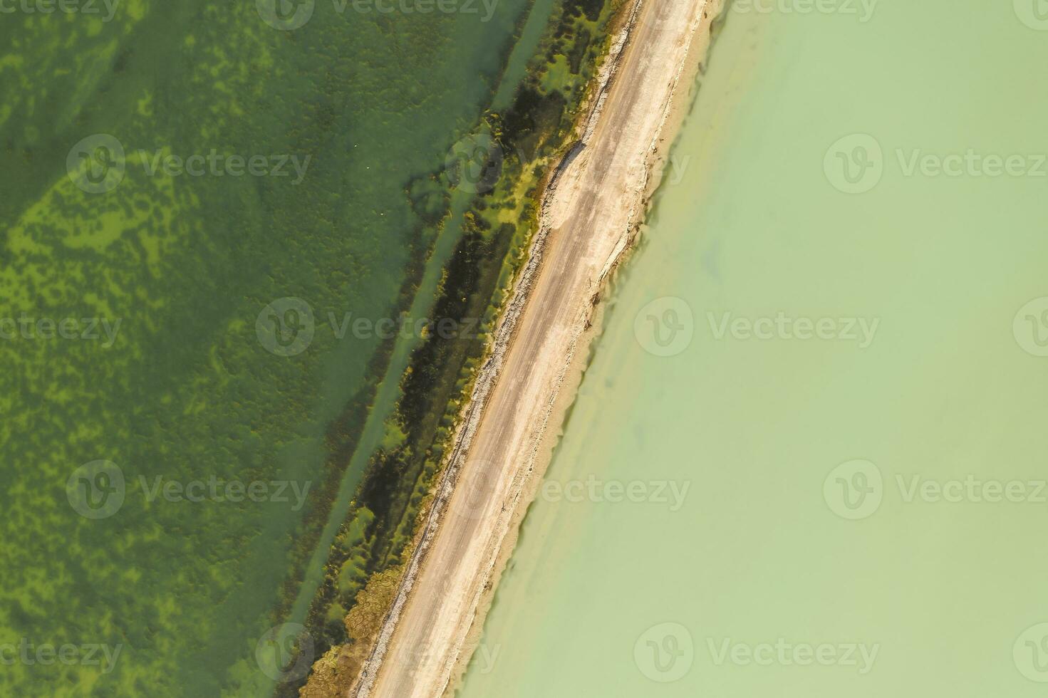 The lake with a path in the middle. photo