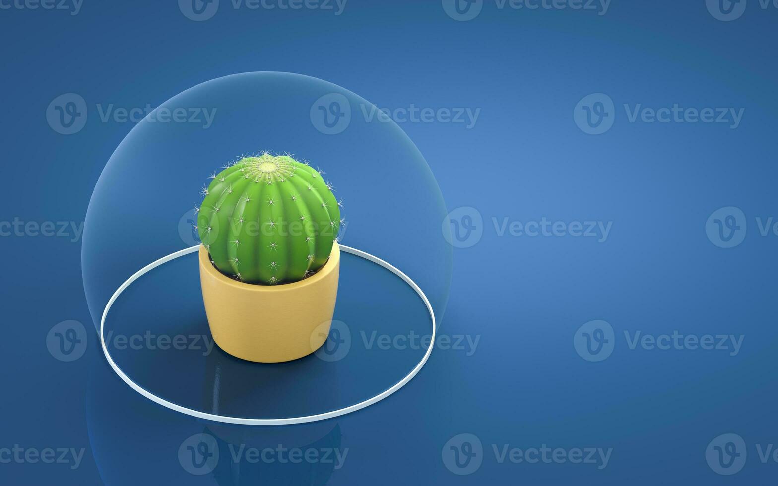 Cactus and blue background, 3d rendering. photo