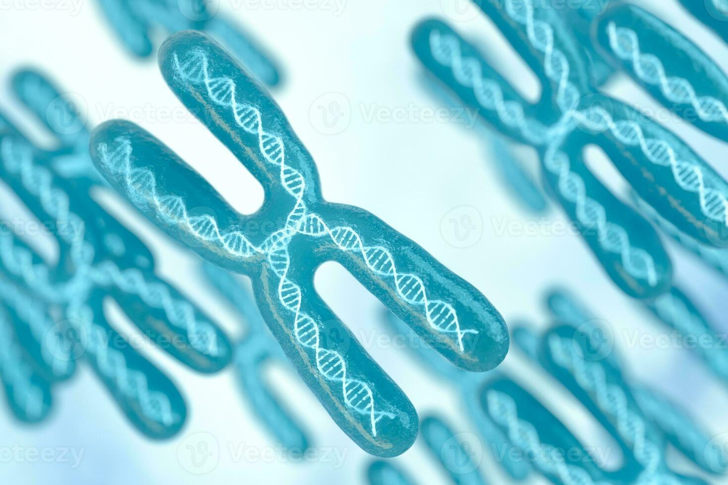 Chromosome with white background, 3d rendering. photo