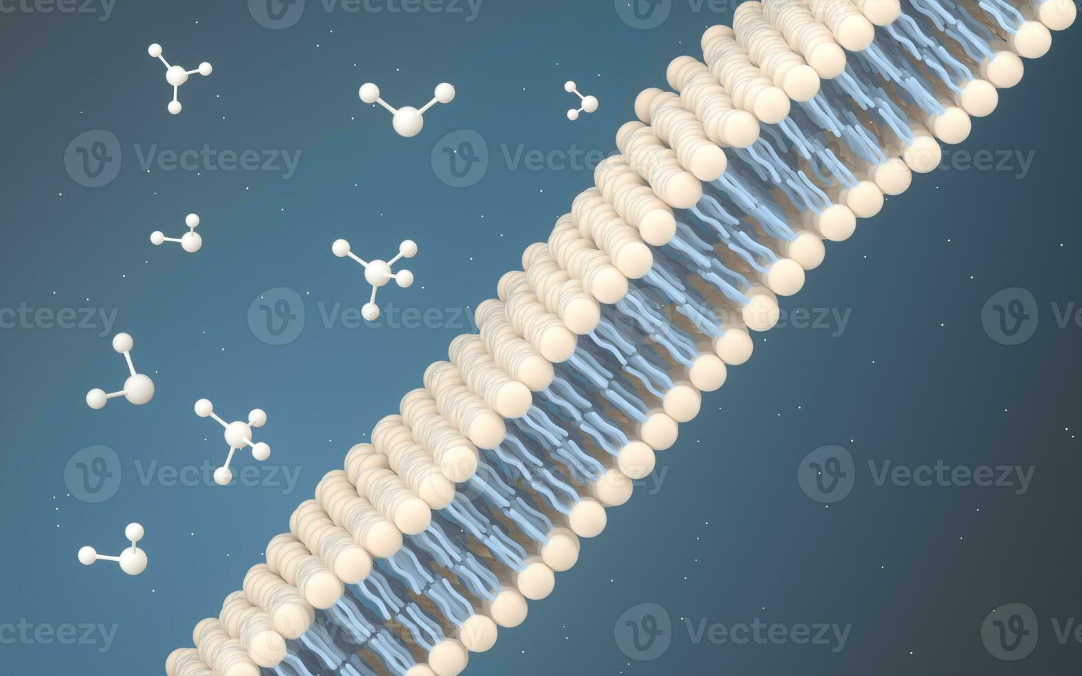 Cell Membrane and Molecules, 3d rendering. photo