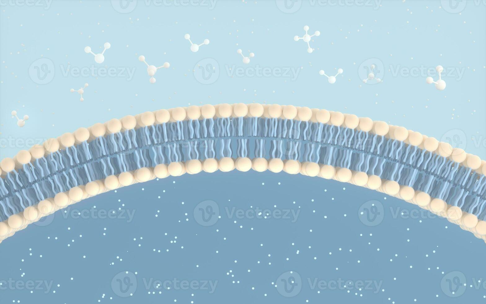 Cell Membrane and Molecules, 3d rendering. photo