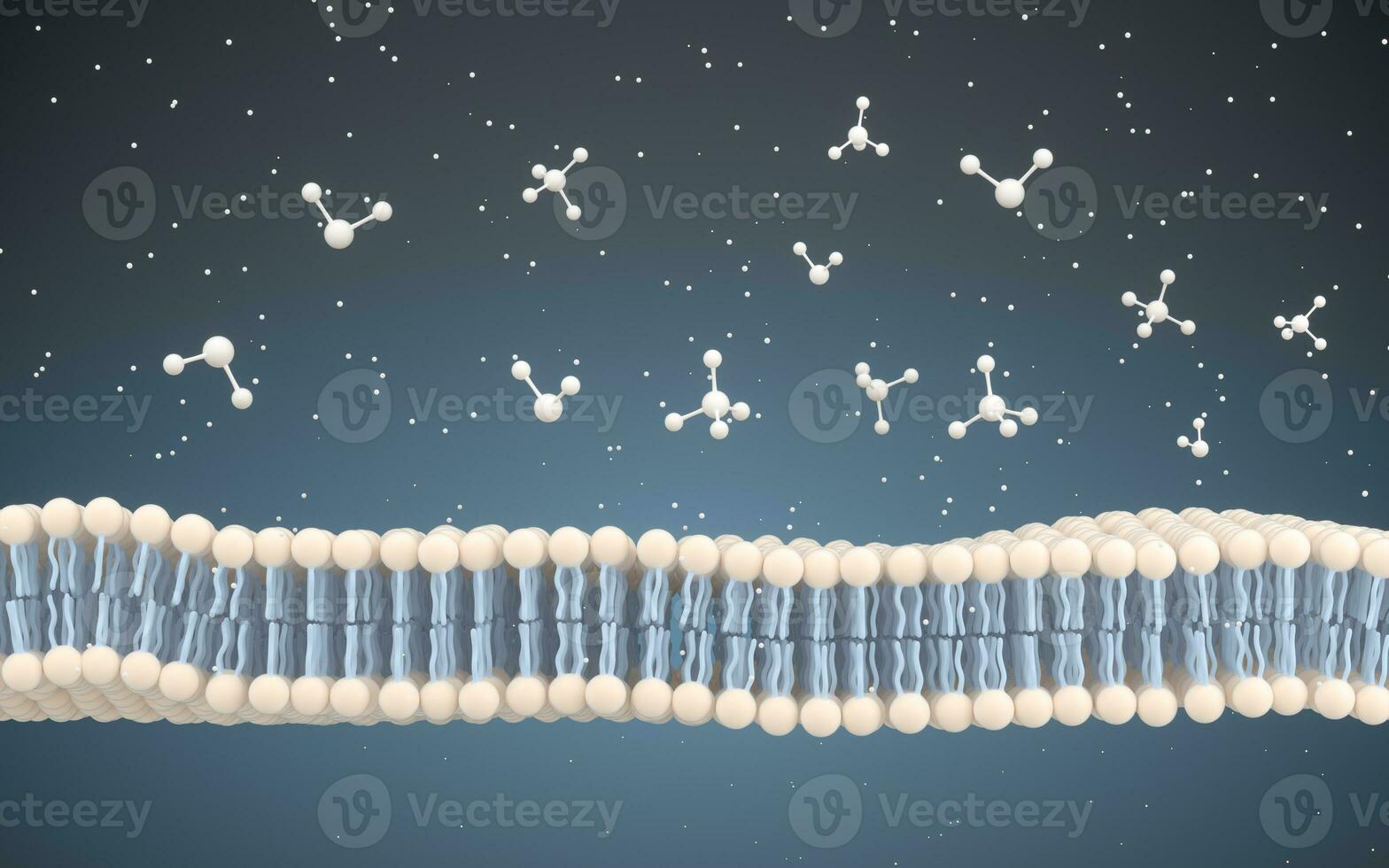 Cell Membrane and Molecules, 3d rendering. photo
