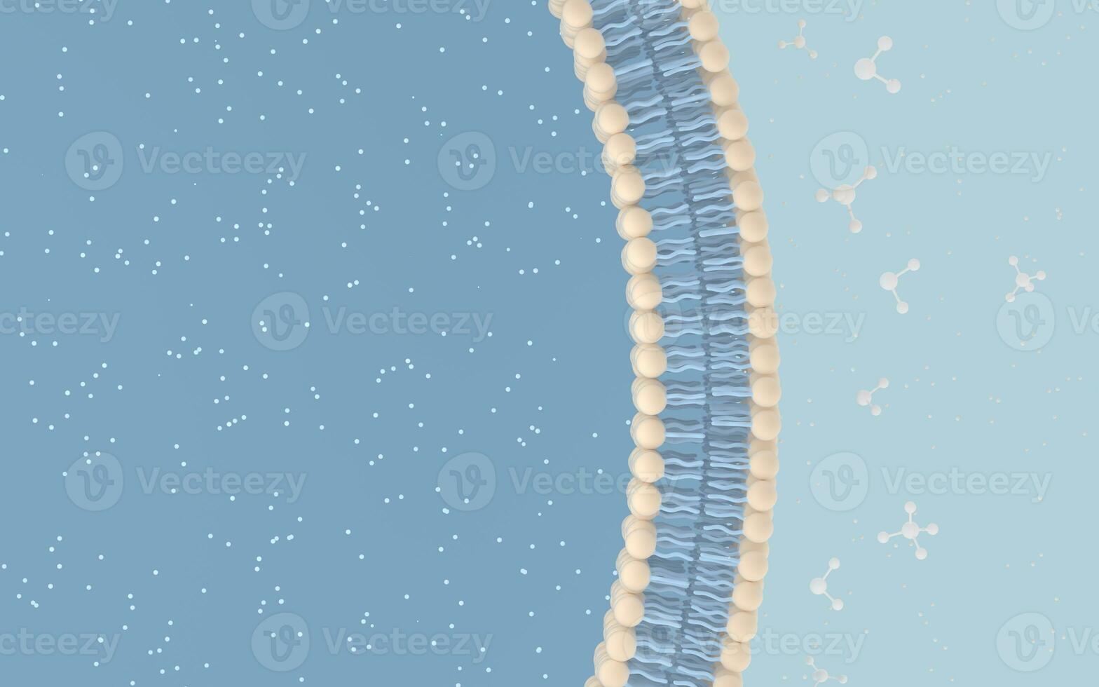 Cell Membrane and Molecules, 3d rendering. photo