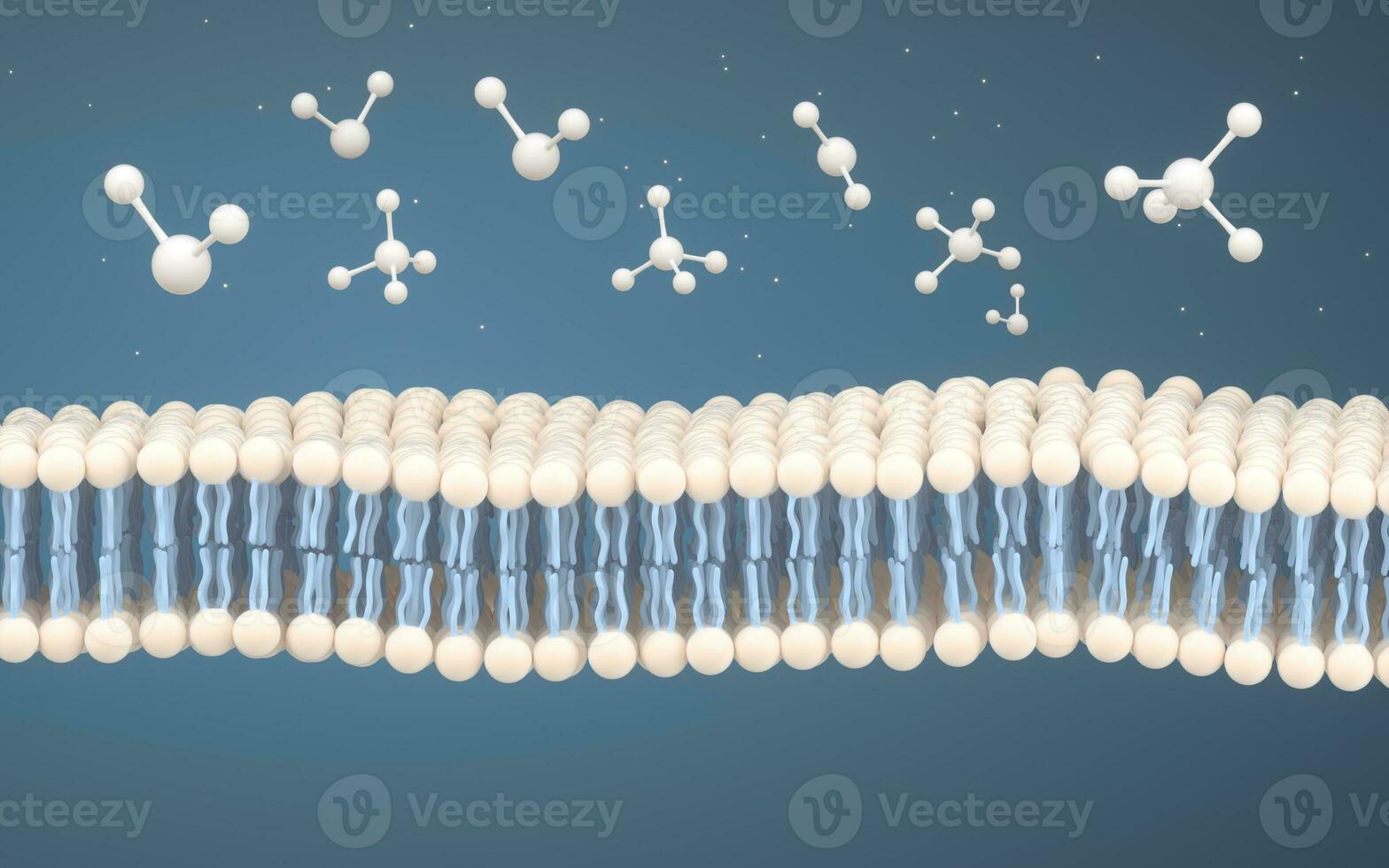 Cell Membrane and Molecules, 3d rendering. photo