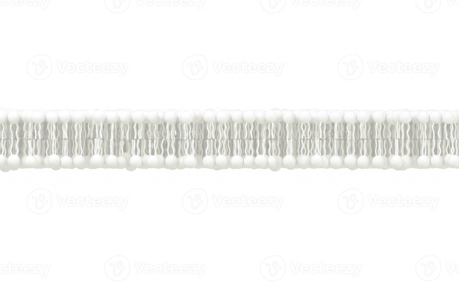 Cell membrane with white background, 3d rendering. photo
