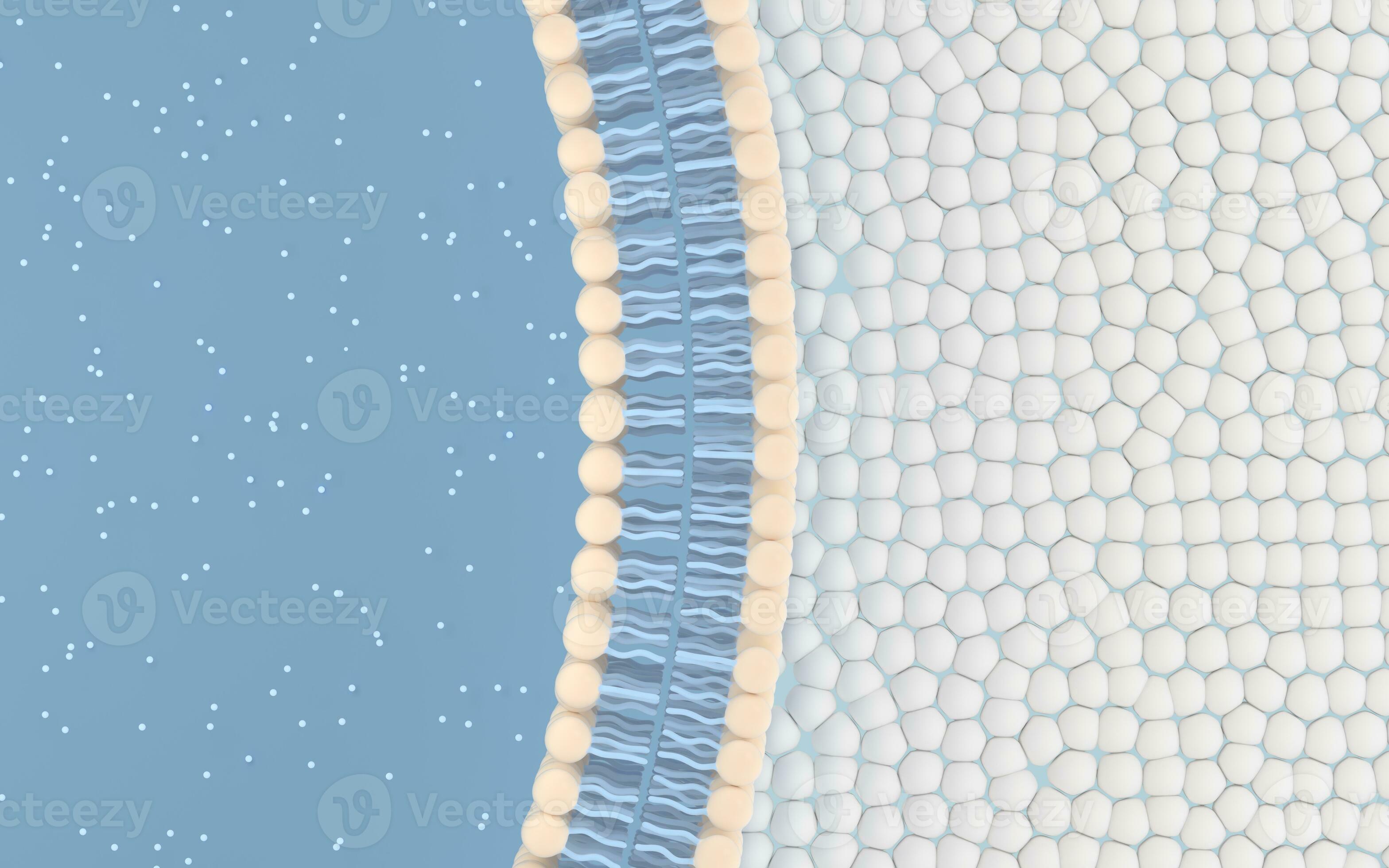 Cell membrane with blue background, 3d rendering. 27860427 Stock Photo