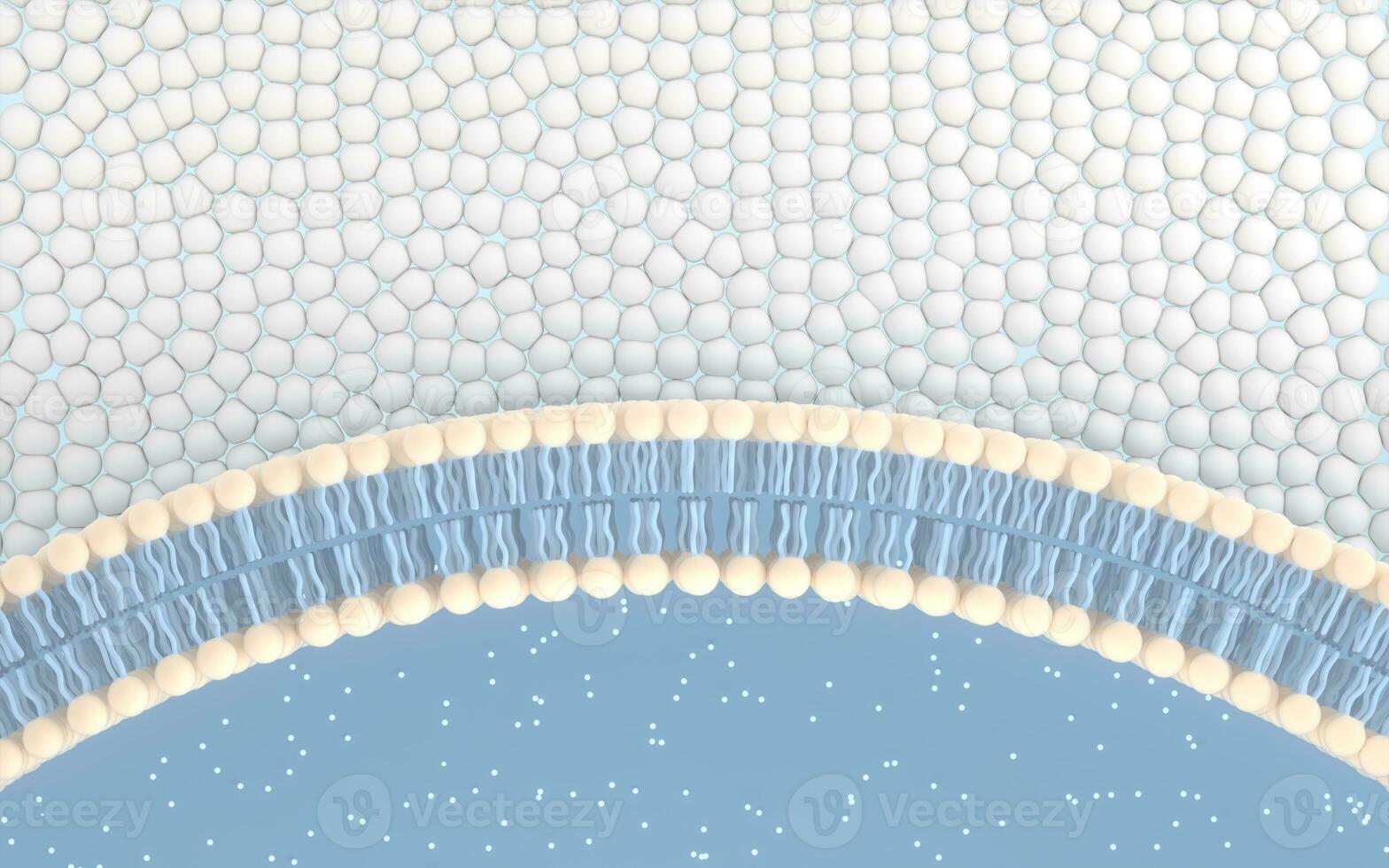 Cell membrane with blue background, 3d rendering. photo