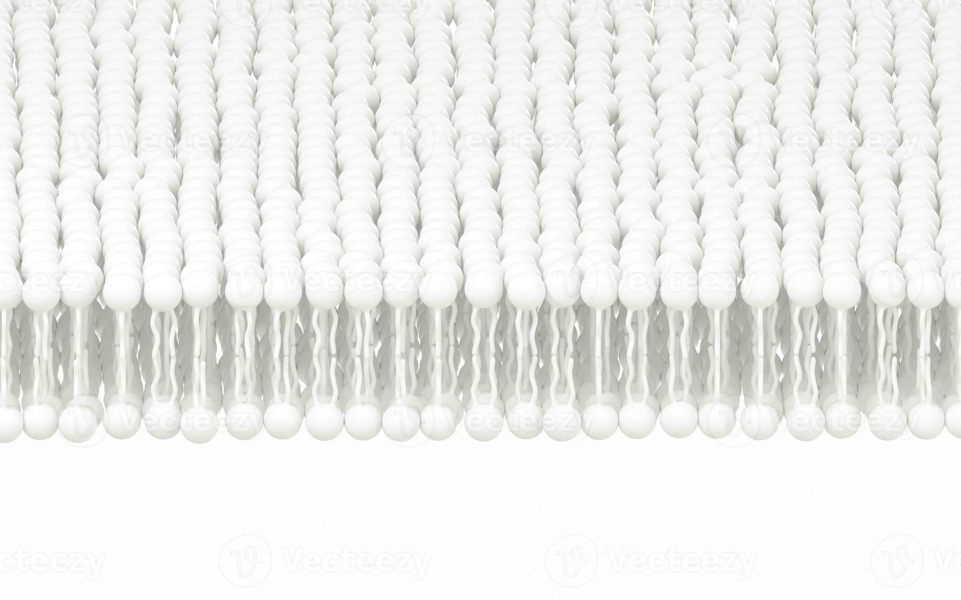 Cell membrane with white background, 3d rendering. 27860440 Stock Photo ...