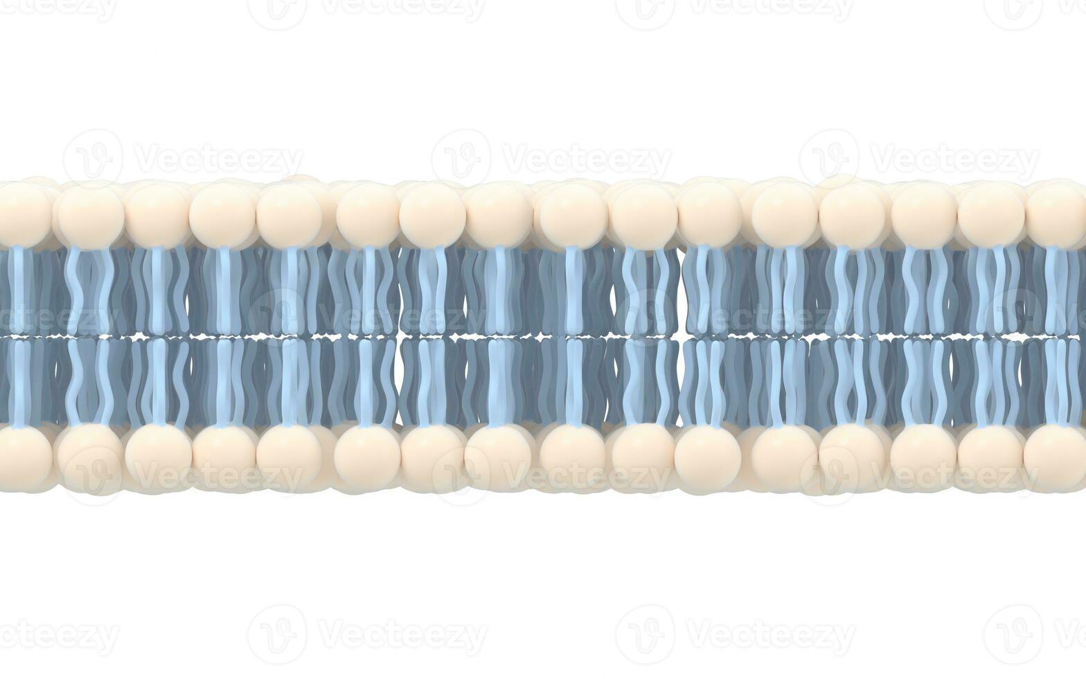 célula membrana con blanco fondo, 3d representación. foto