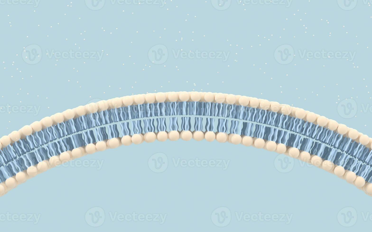 Cell membrane with blue background, 3d rendering. photo