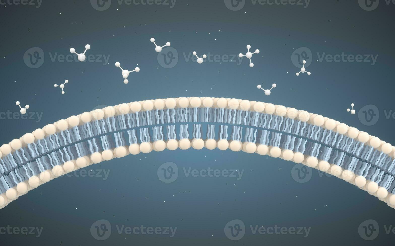 Cell Membrane and Molecules, 3d rendering. photo