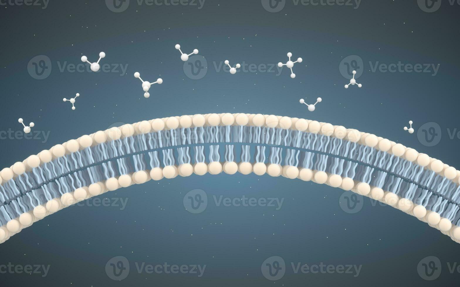 célula membrana y moléculas, 3d representación. foto