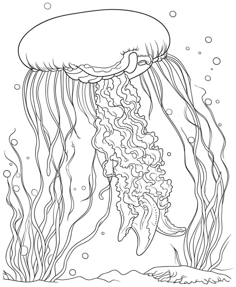 easy jellyfish coloring page vector