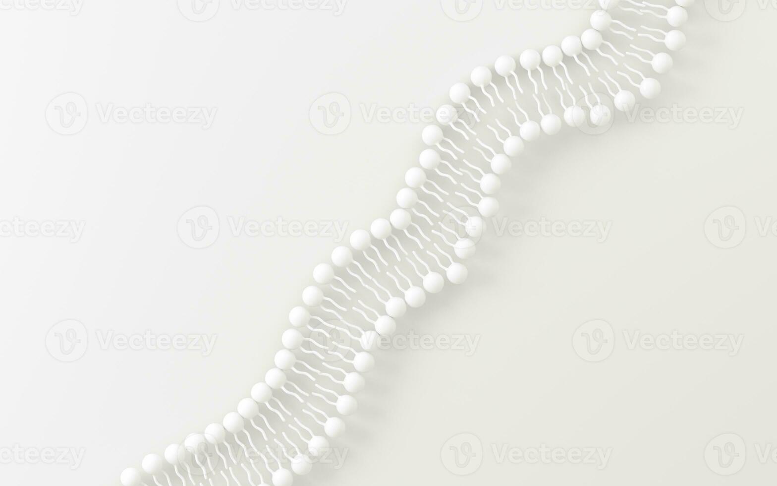 Cell membrane with white background, 3d rendering. photo