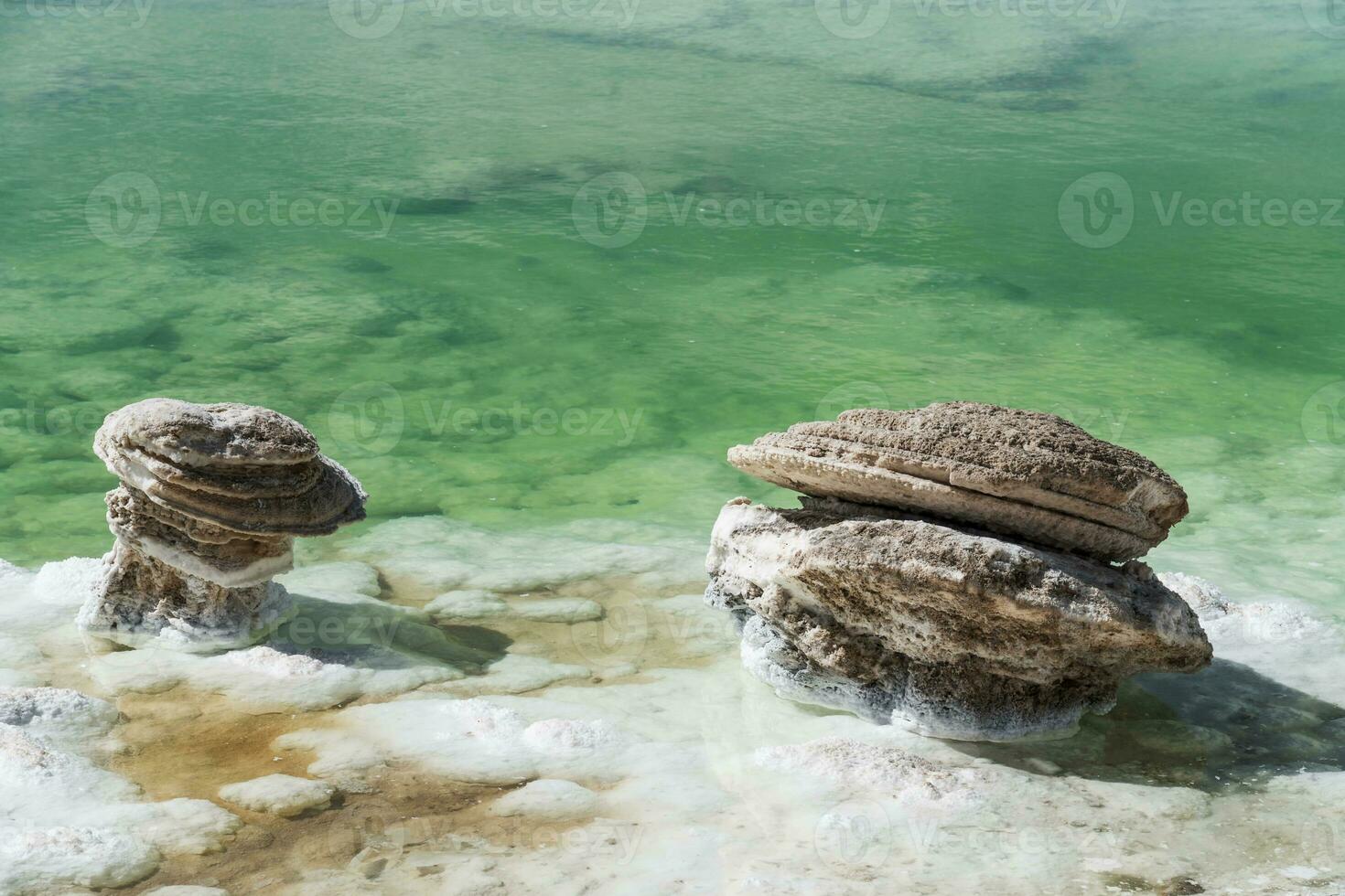 Salt stones by the green saline lake. photo