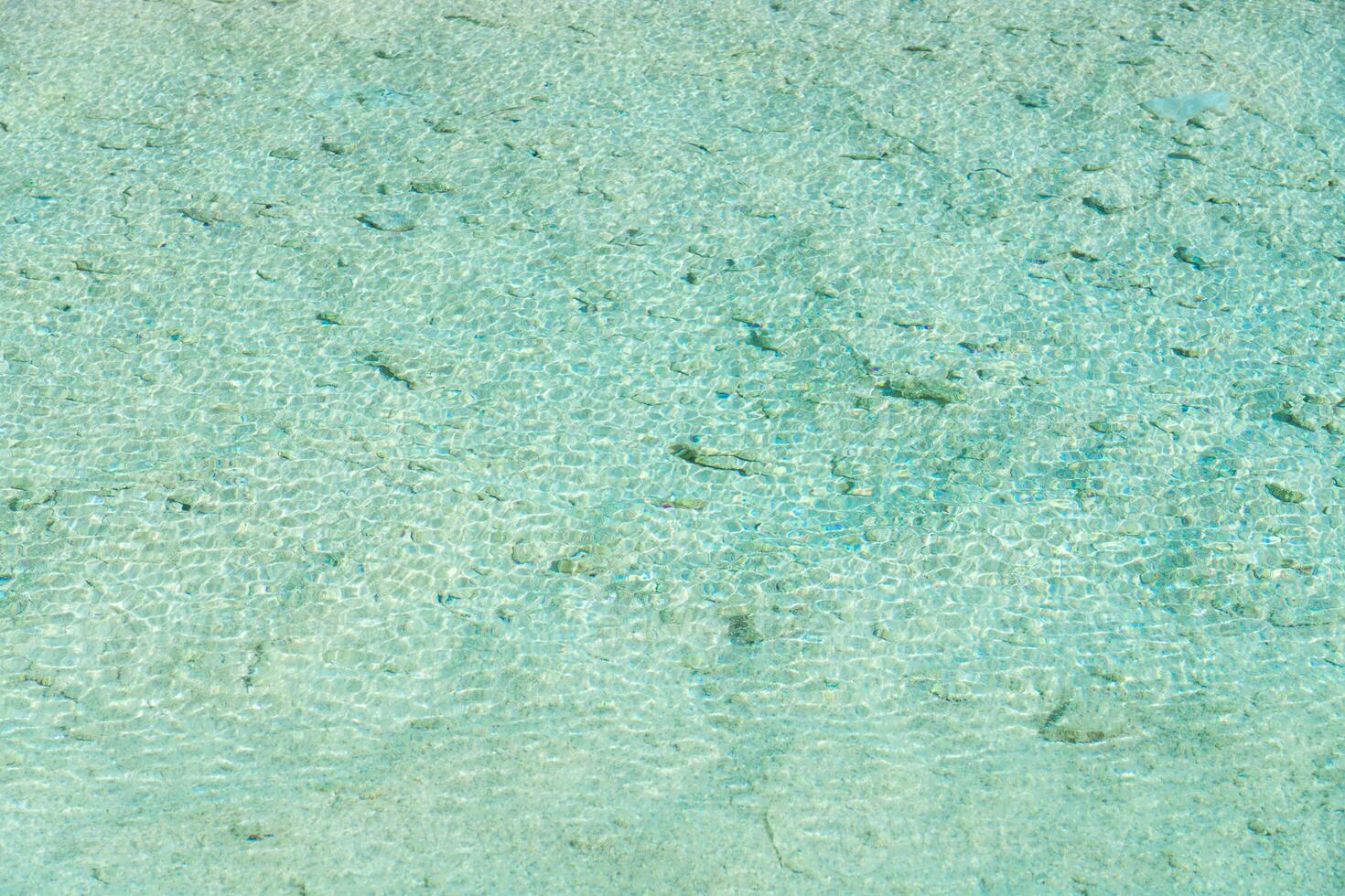 The cyan saline lake, natural lake background. photo
