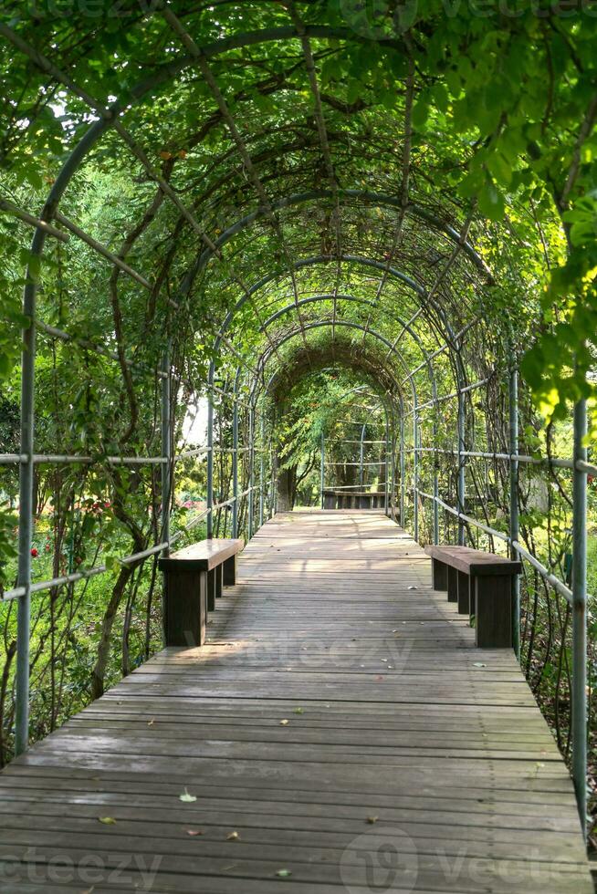 The walkway in the tunnel in a public park. photo