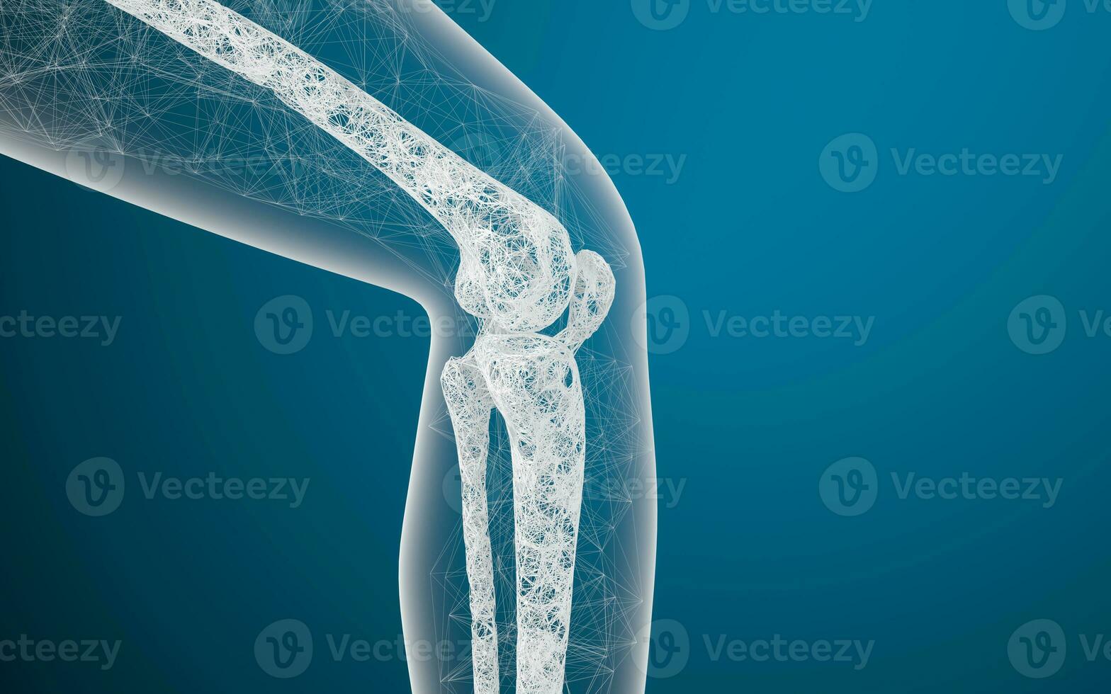 pierna huesos y rodillas, 3d representación. foto