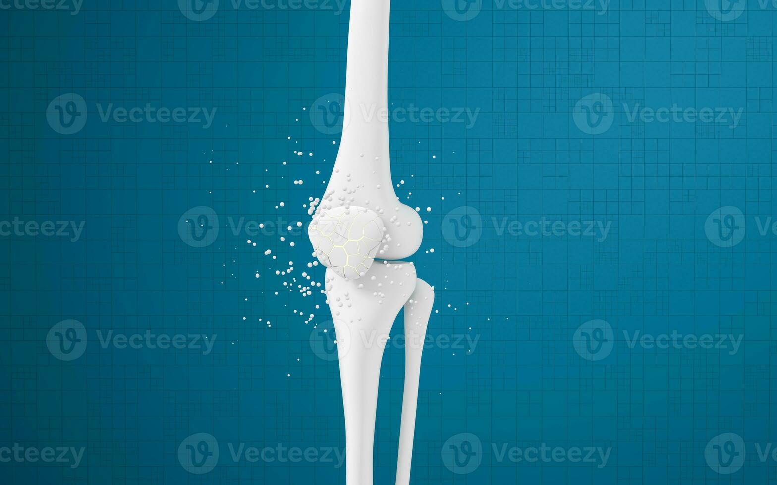 Leg bones and knees, 3d rendering. photo