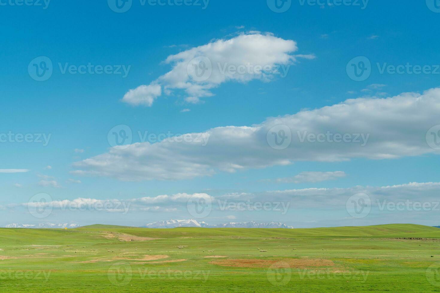 Vast grasslands and snow-capped mountains. Photo in Bayinbuluke Grassland in Xinjiang, China.