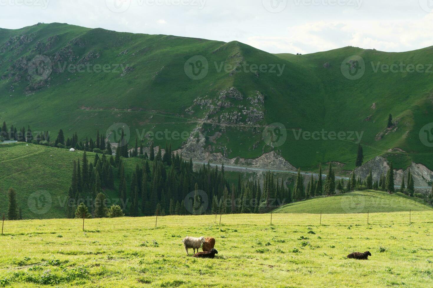 Mountains with a cloud day. photo