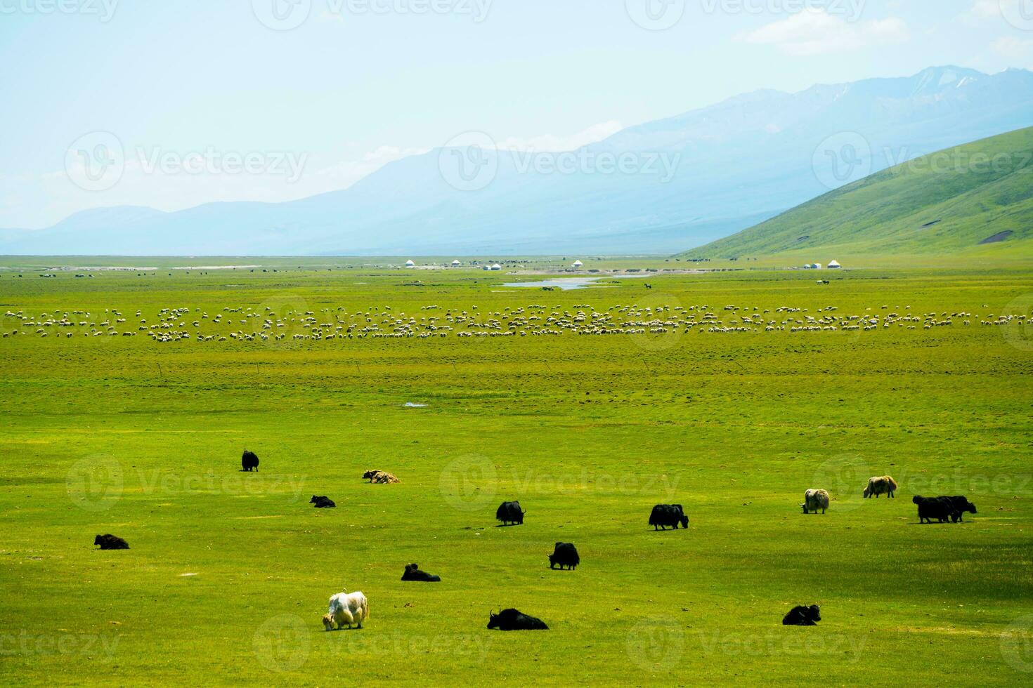 Winding rivers and meadows. Photo in Bayinbuluke Grassland in Xinjiang, China.