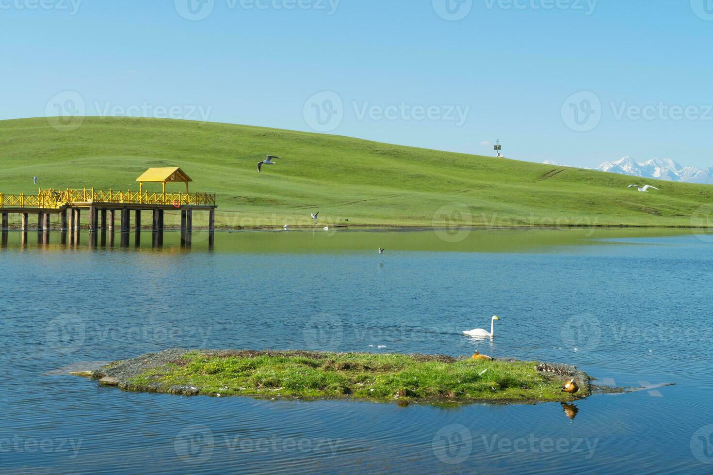 Winding rivers and meadows. Photo in Bayinbuluke Grassland in Xinjiang, China.
