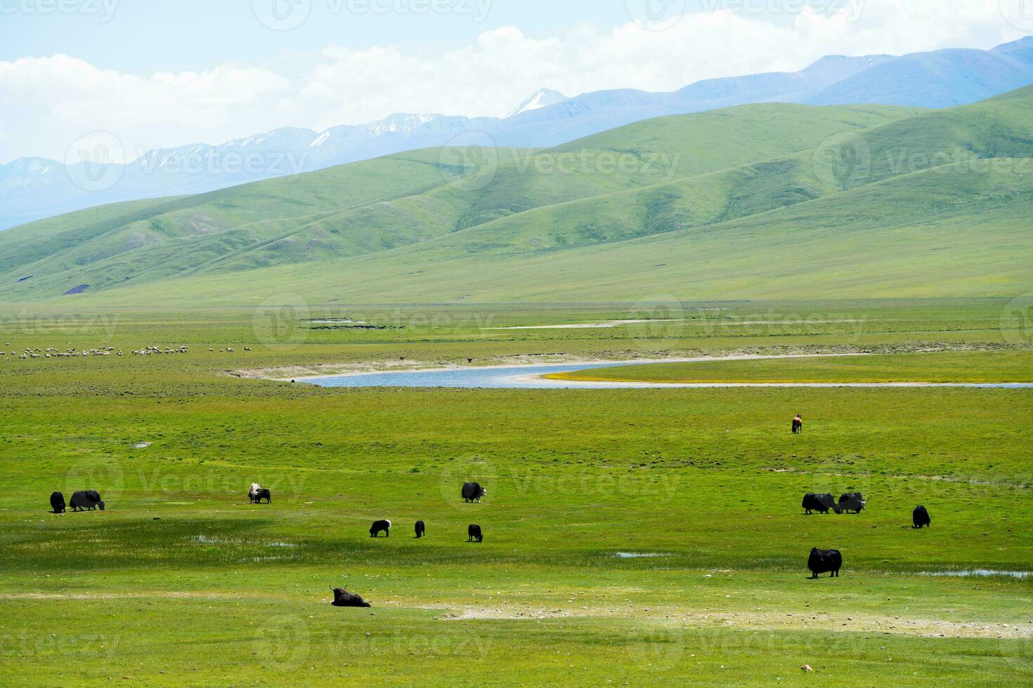 Winding rivers and meadows. Photo in Bayinbuluke Grassland in Xinjiang, China.