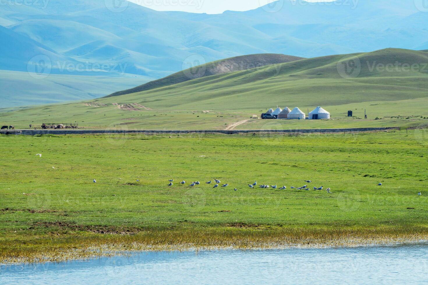 Winding rivers and meadows. Photo in Bayinbuluke Grassland in Xinjiang, China.