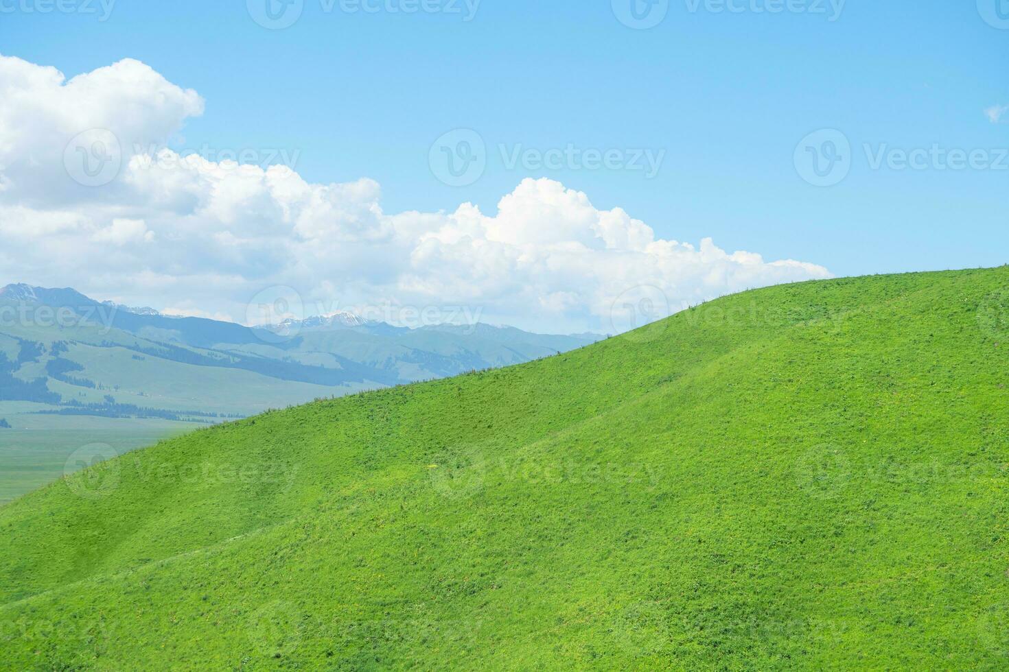 Nalati grassland with the blue sky. photo