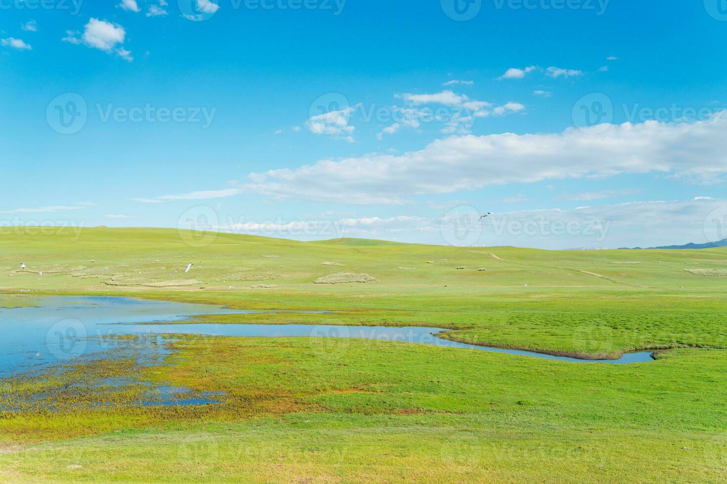 Winding rivers and meadows. Photo in Bayinbuluke Grassland in Xinjiang, China.