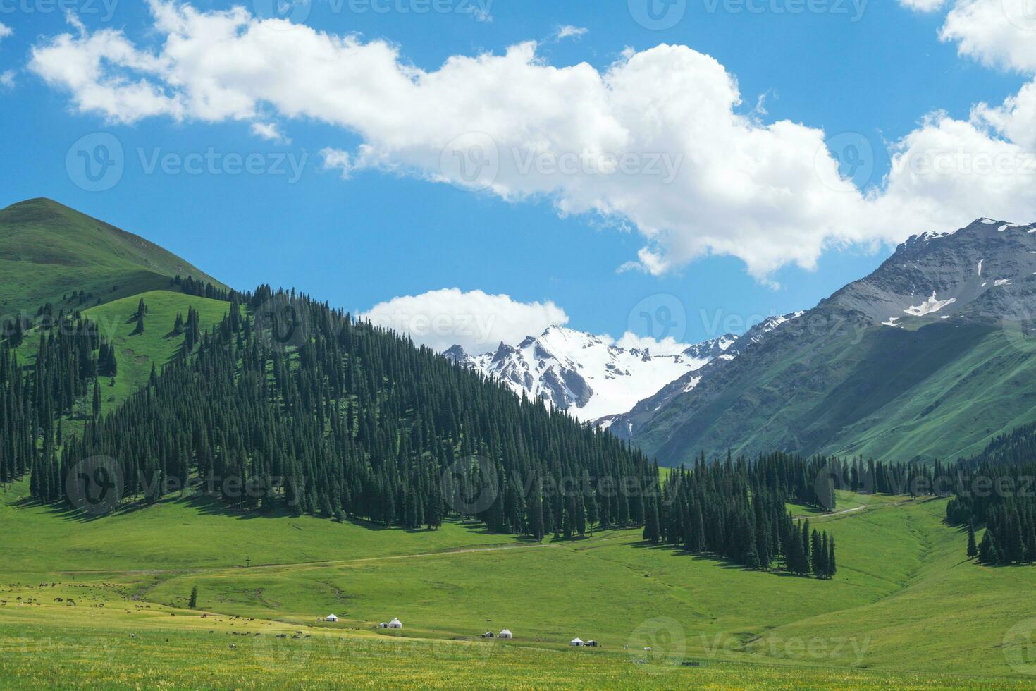 Nalati grassland with the blue sky. photo