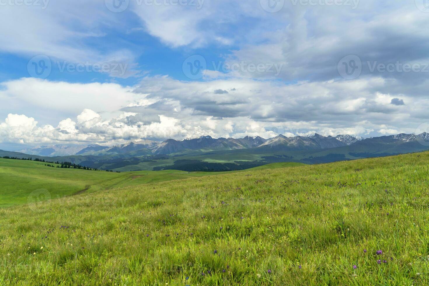 Grassland and mountains in a sunny day. Photo in Kalajun grassland in Xinjiang, China.