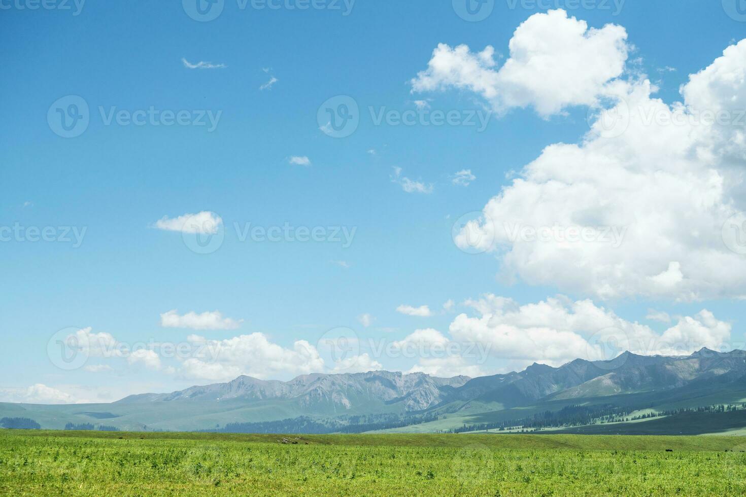 Nalati grassland with the blue sky. photo