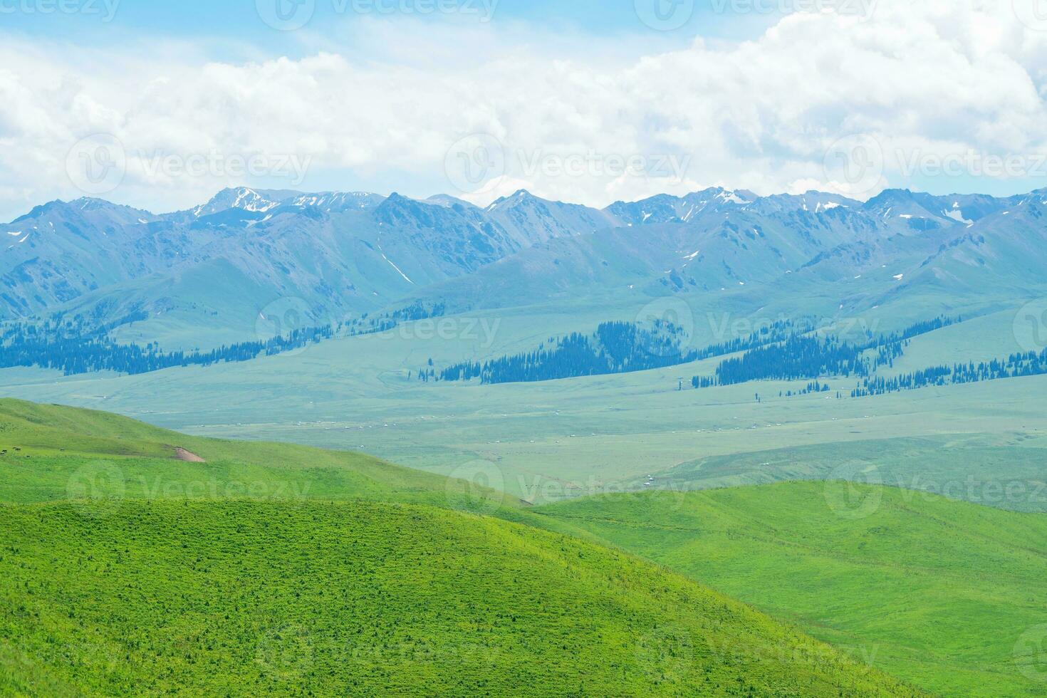 Nalati grassland with the blue sky. photo