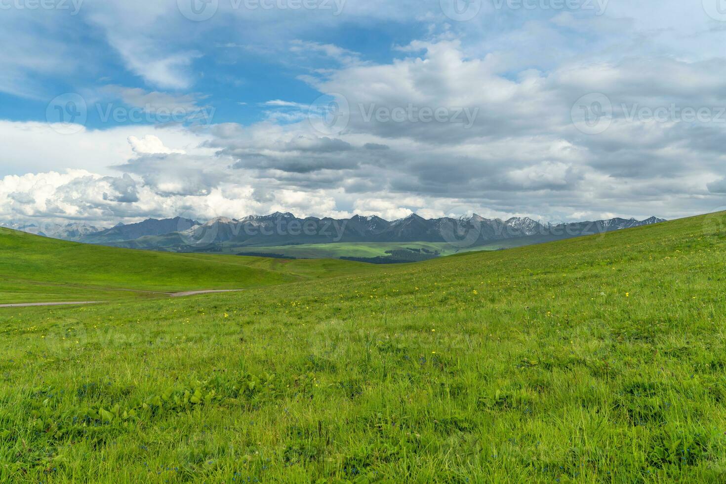 Grassland and mountains in a sunny day. Photo in Kalajun grassland in Xinjiang, China.