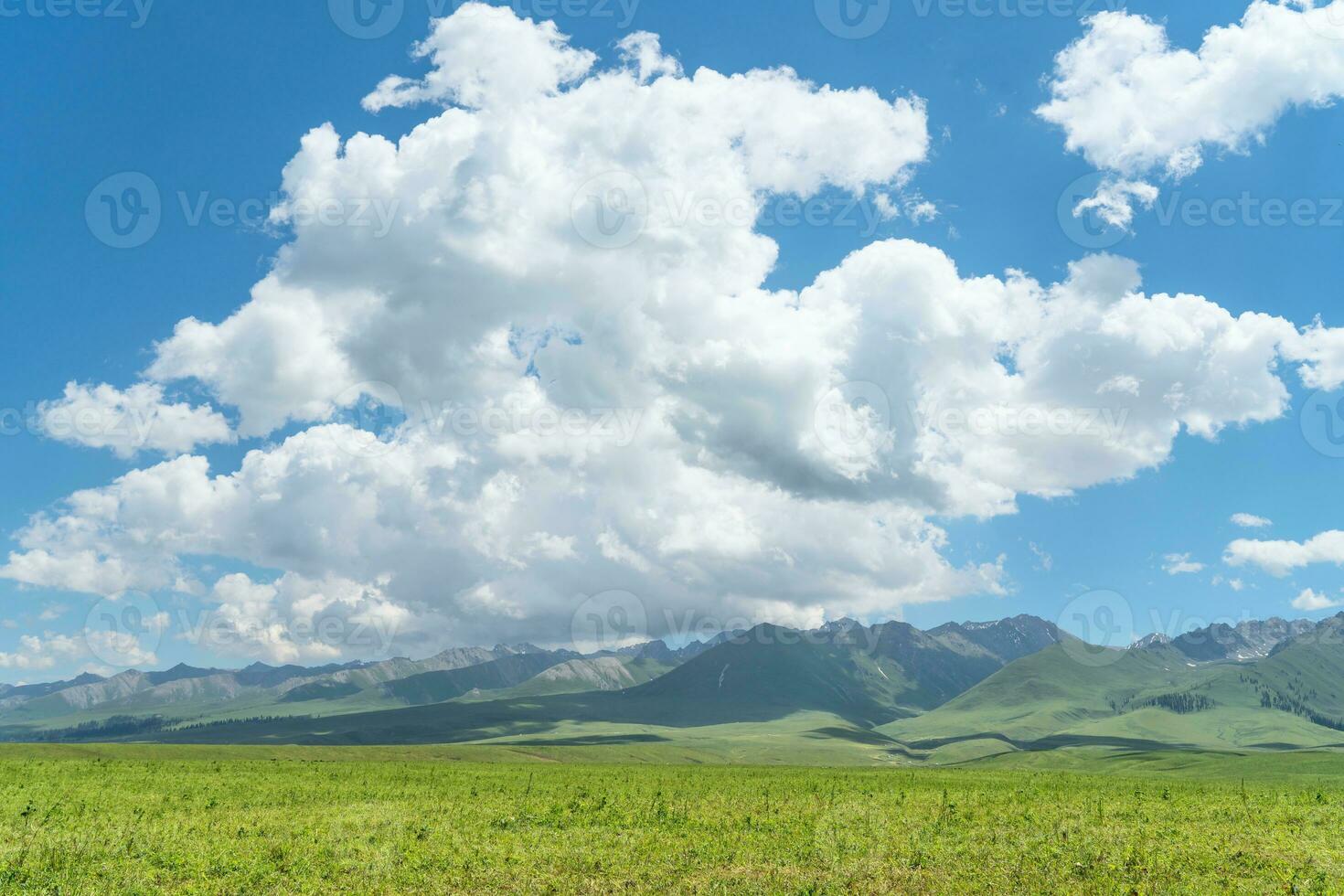 Nalati grassland with the blue sky. photo