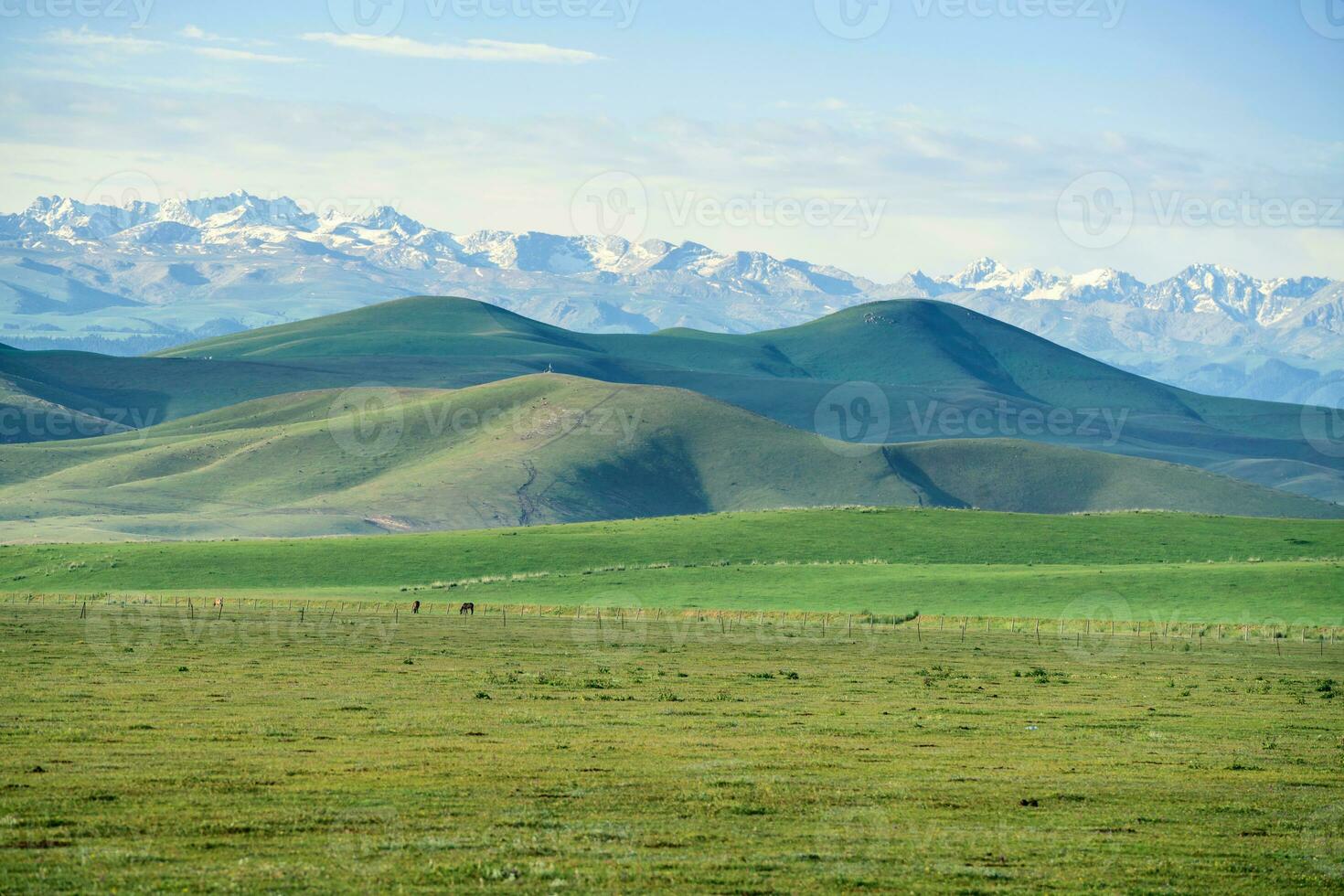 Grasslands and snowy mountains in the sun. photo