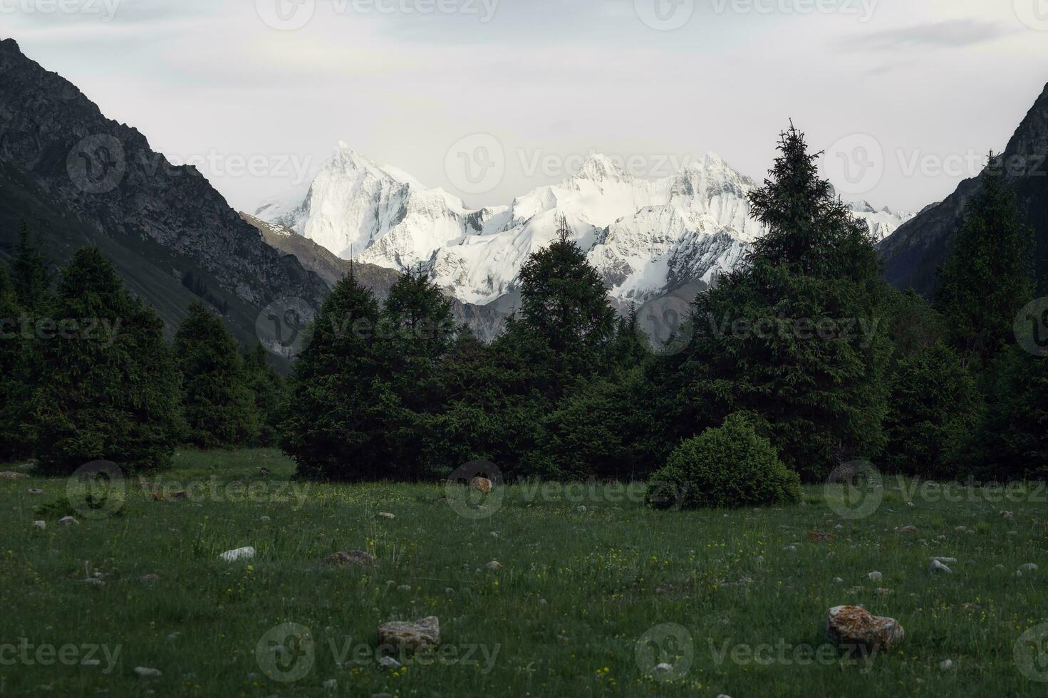 Snowy mountains and trees in a cloudy day. Khan Tengri Mountain In Xinjiang, China. photo